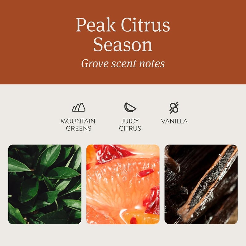 Drift Car Air Freshener - The Original Wood Air Freshener - Car Odor Eliminator - Long Lasting Scent - Auto Accessories - Metal Clip - Essential Oils - Clean Ingredients - Grove Scent Starter Kit - Image 3